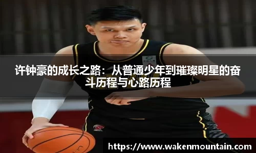 BB贝博登录入口